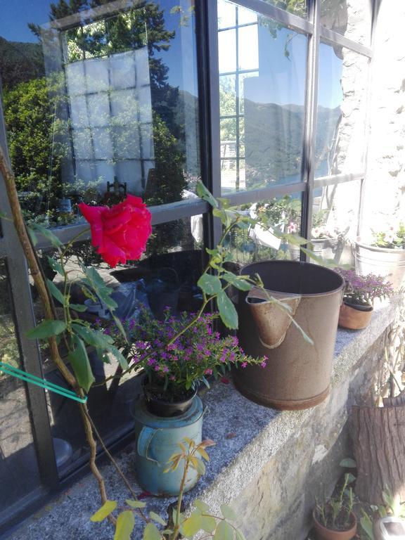 Sweet Home Faggeto Lario Buitenkant foto